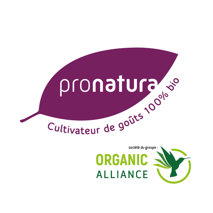 Logo de PRONATURA, représentant une entreprise dédiée à la durabilité et à l'environnement, avec un design minimaliste et impactant.